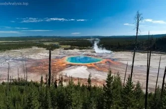 How to Visit Yellowstone With Kids: A Family Travel Guide