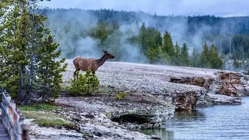 Top 5 Places to See in Yellowstone National Park  