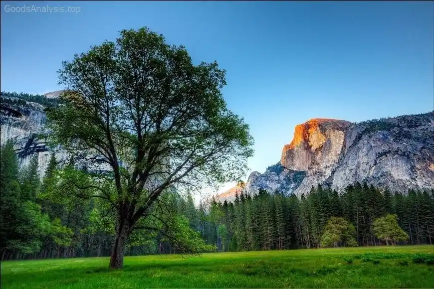 Yosemite’s Best Instagram Spots for Stunning Photos  