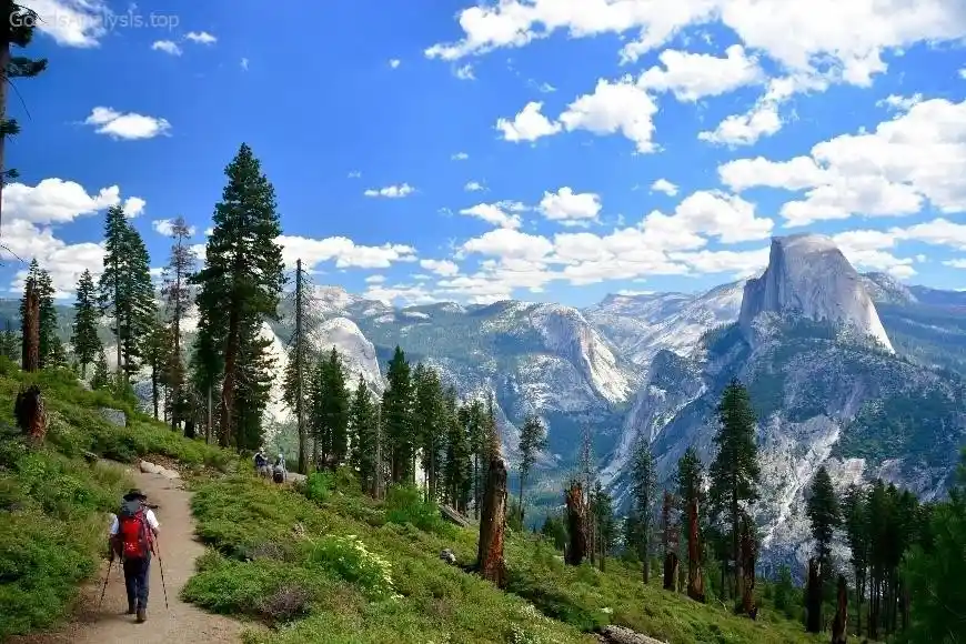 The Best Places to Eat in Yosemite National Park  