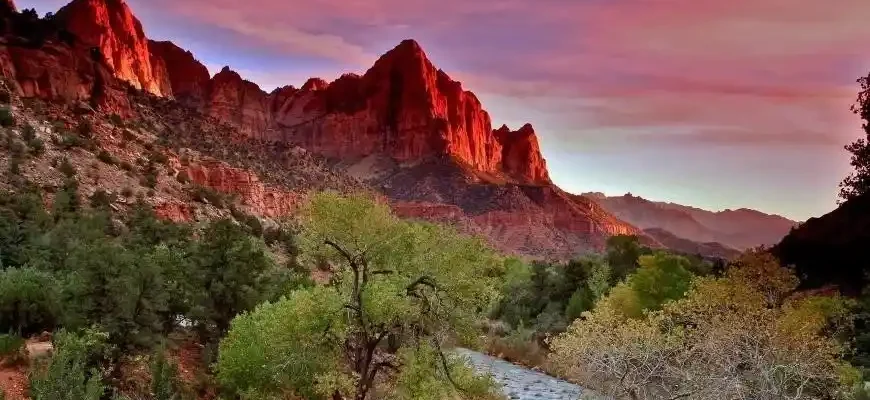 Zion National Park: Tips for Hiking the Most Popular Trails