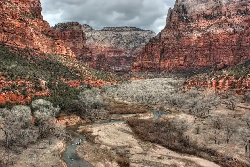 How to Stay Safe and Have Fun in Zion National Park  