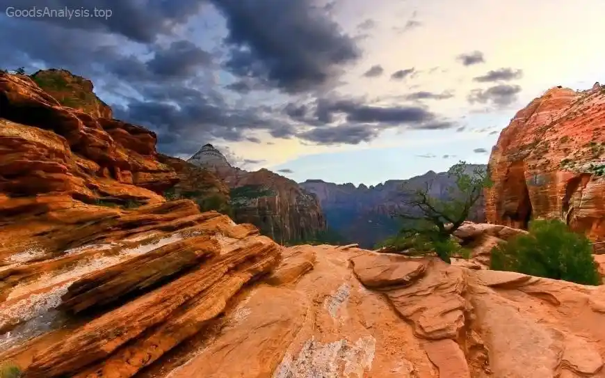 Zion National Park Tips for First-Time Travelers  