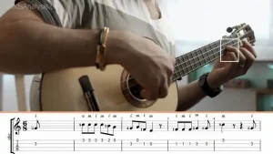 From Beginner to Guitar Pro: Learn Basic Chords Step-by-Step  