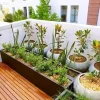 How to Harvest Herbs from Your Indoor Garden Without Killing Them