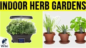 Growing Herbs Indoors: Best Practices for Success  