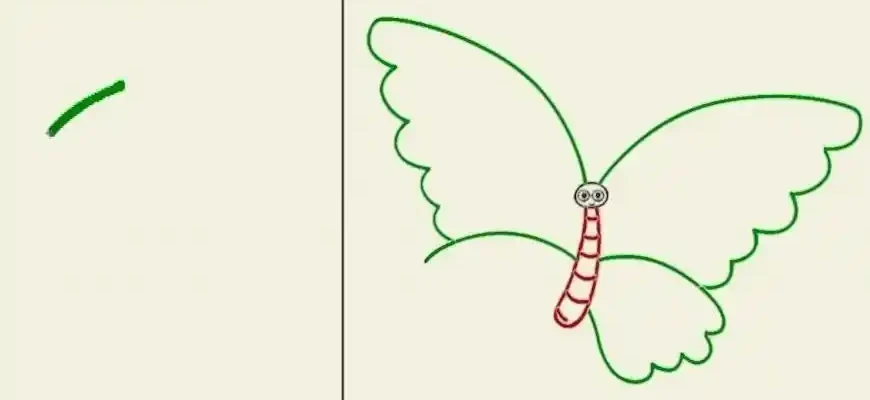 How to Draw Butterflies: From Basic Shapes to Colorful Art