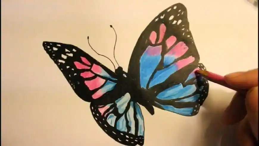 How to Create Gorgeous Butterfly Art: A Step-by-Step Drawing Guide  