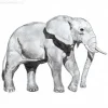 Learn to Draw an Elephant Fast