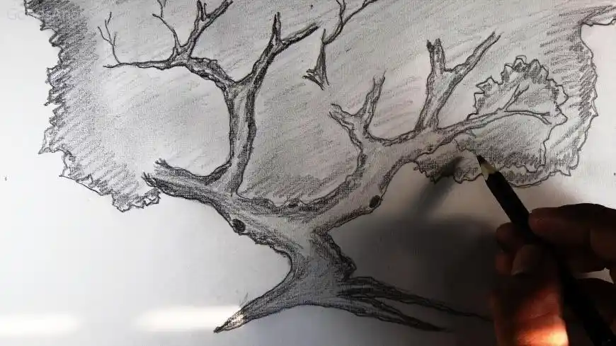 How to Draw Beautiful and Realistic Trees with Ease  