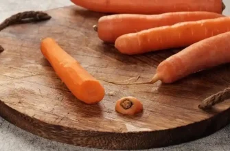 Growing Carrots Indoors: Solving Problems You’ll Encounter